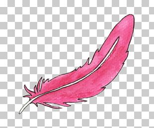 Pink feather png.
