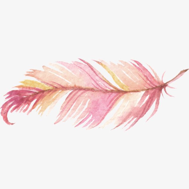Watercolor Pink Feathers, Watercolor Clipart, Watercolor