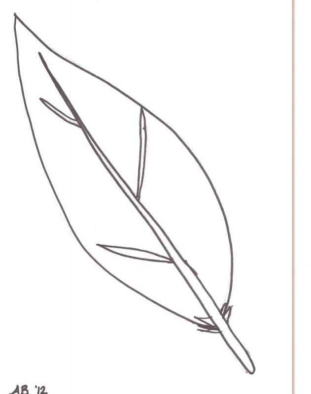 Turkey feather feather coloring page images printable pages