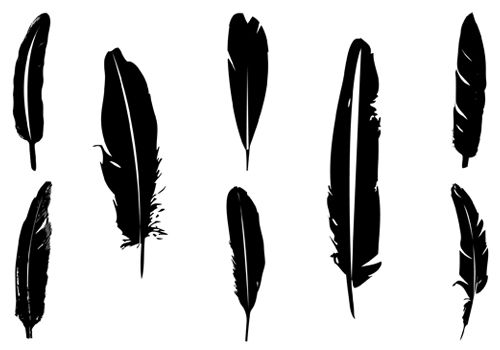 Feather silhouette clipart.