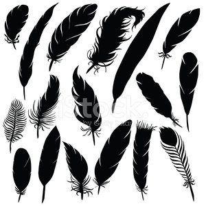 Vector silhouette of different feathers Clipart Image