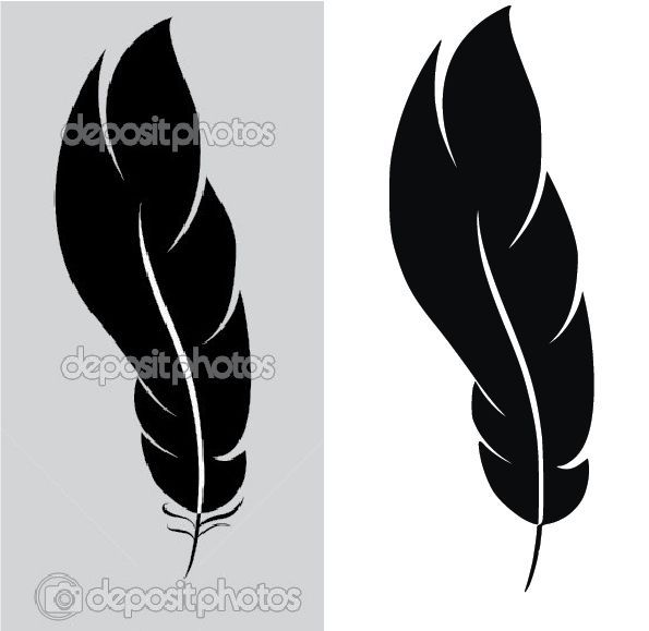 Simple feather vector.