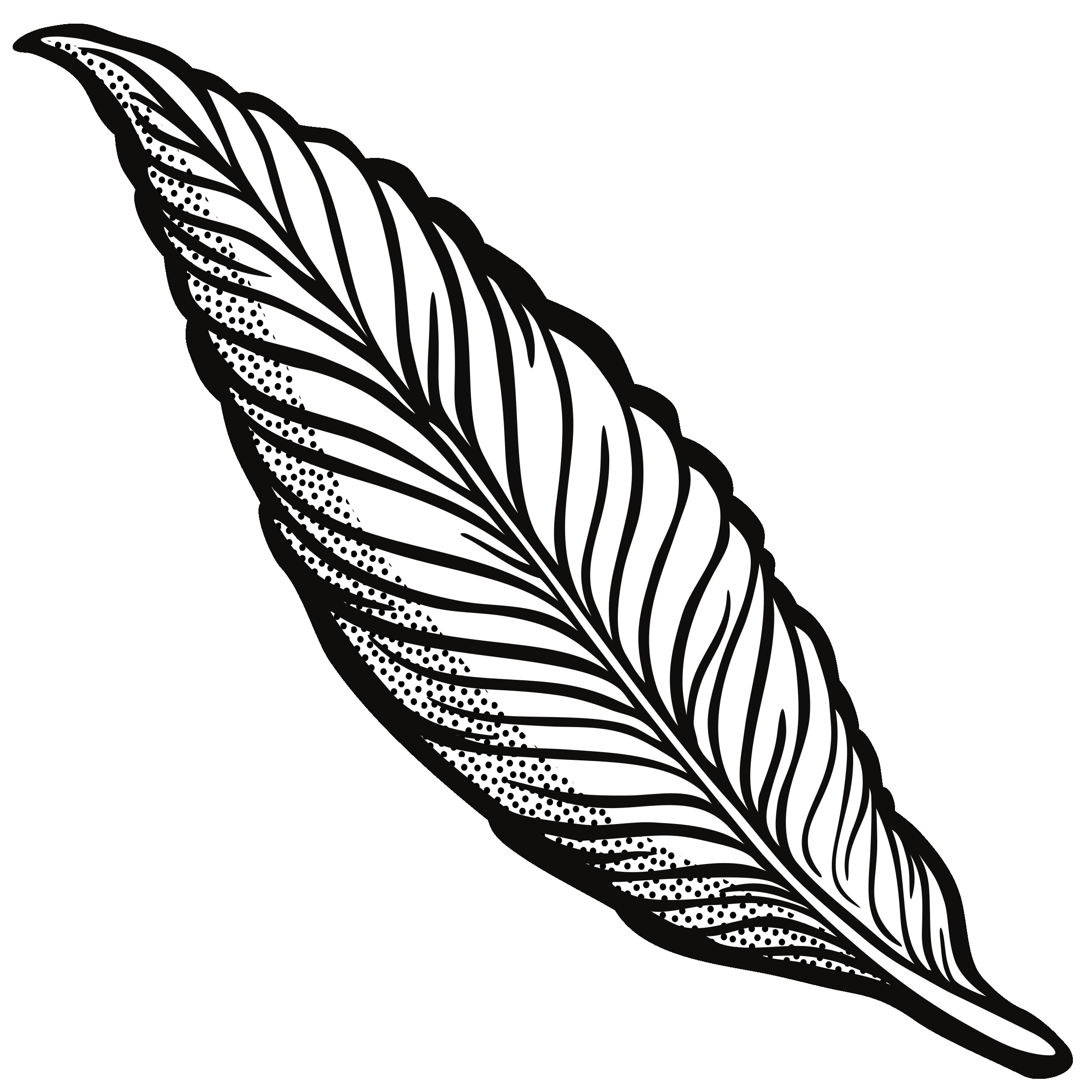 Simple feather drawing.