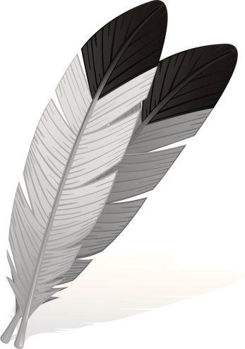 Eagle feather clip.