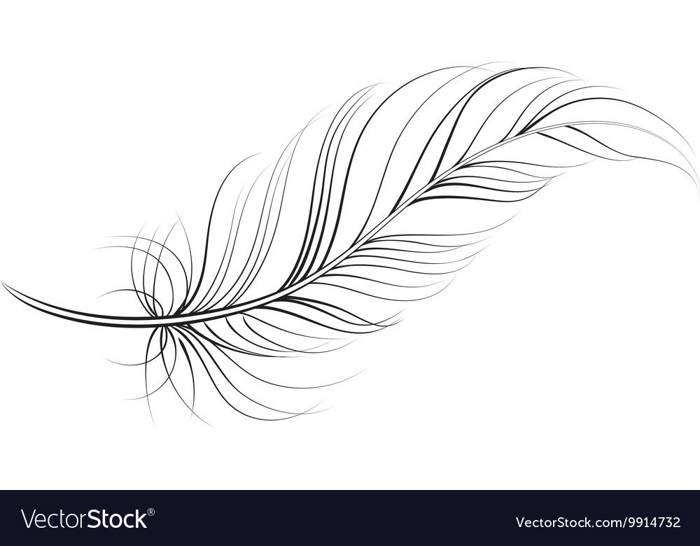 Clip art feather.