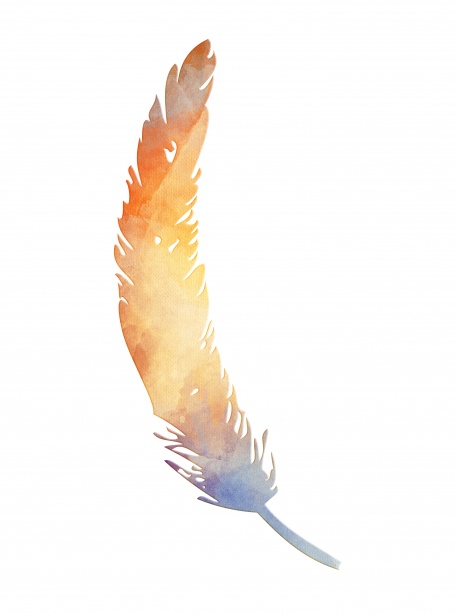 Feather watercolor clipart.