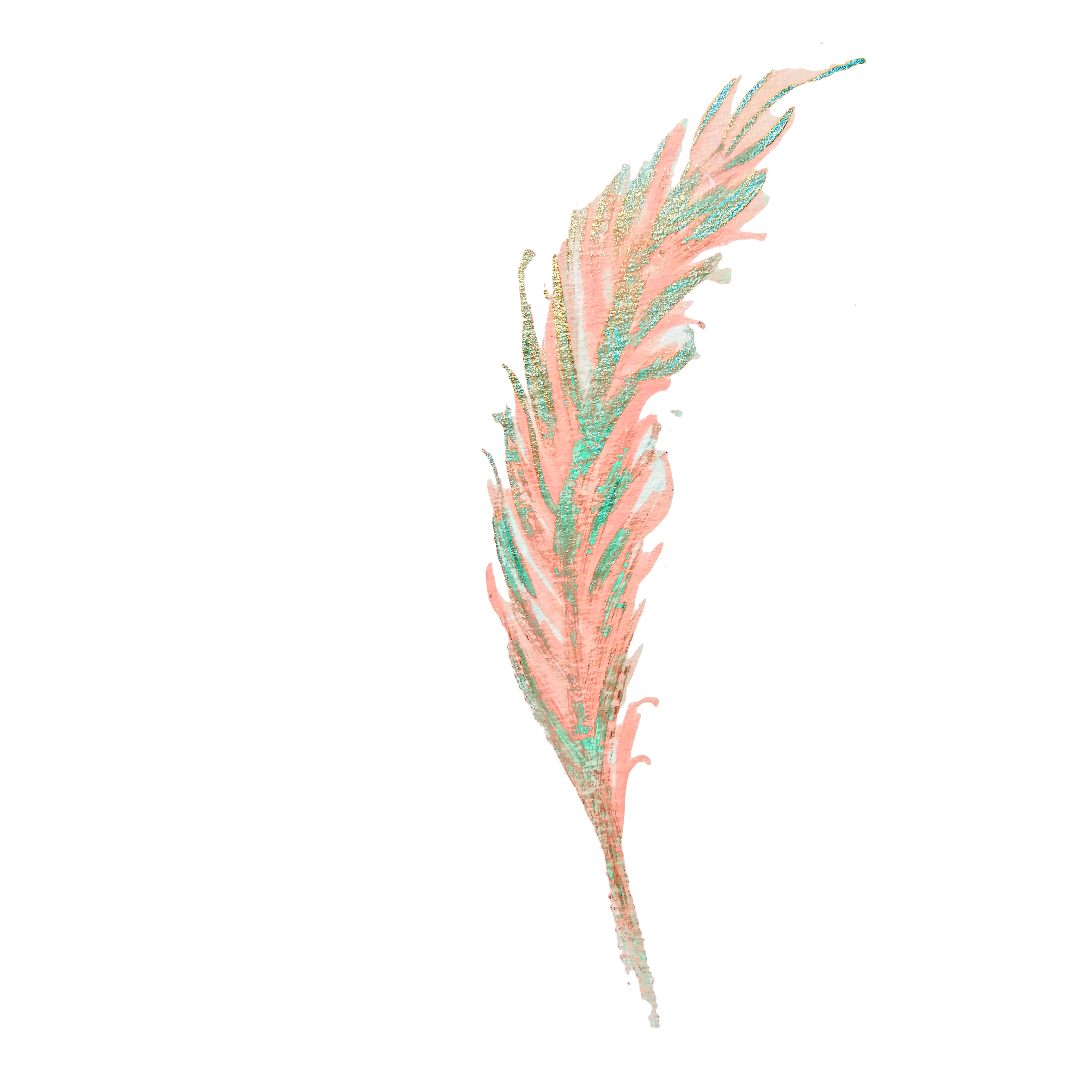 Feathers clipart watercolor.