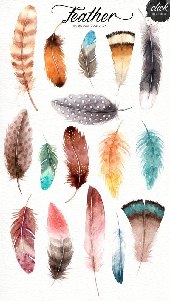 Feather Watercolor Collection, Tribal Clipart, American
