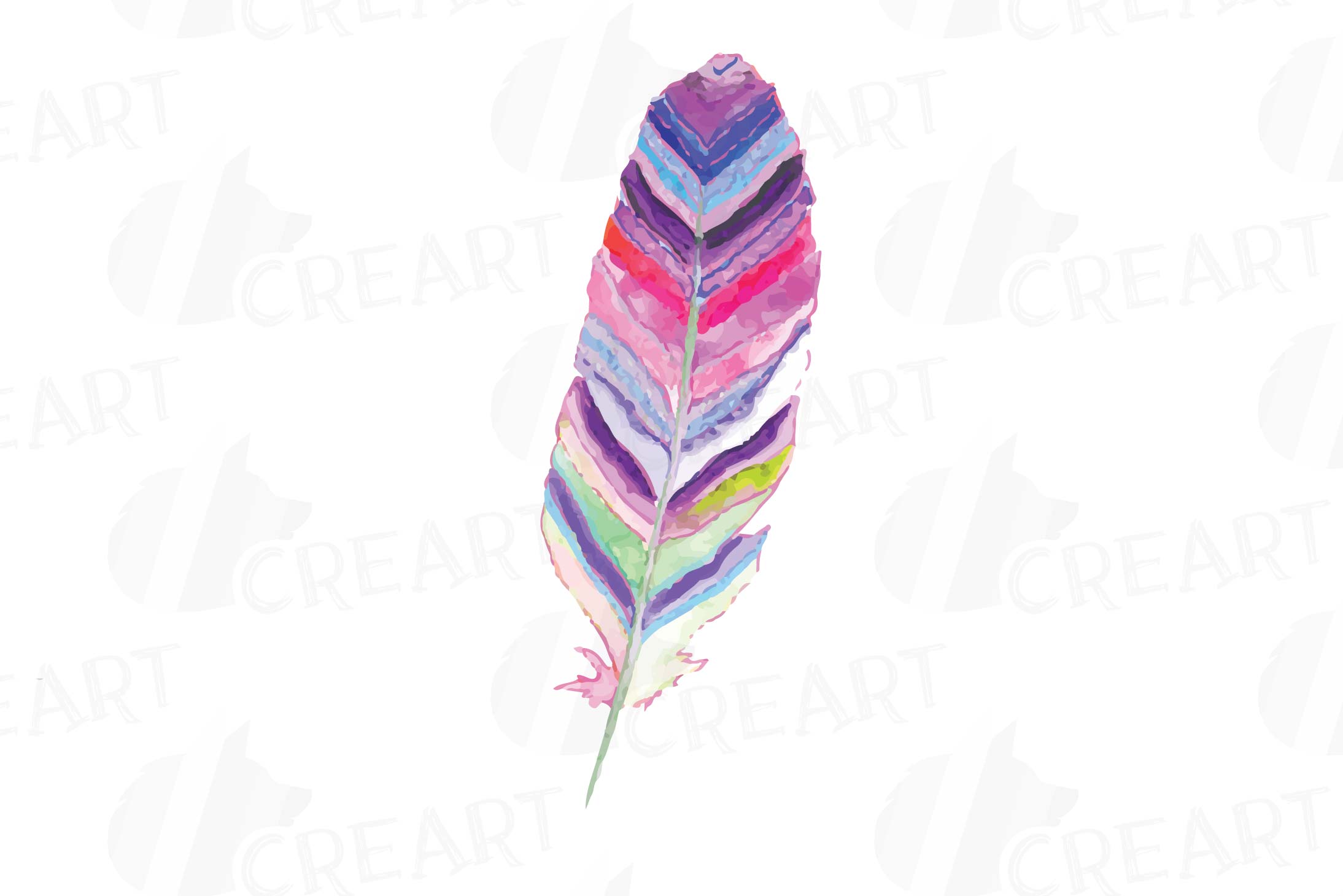 Watercolor feathers colorful.