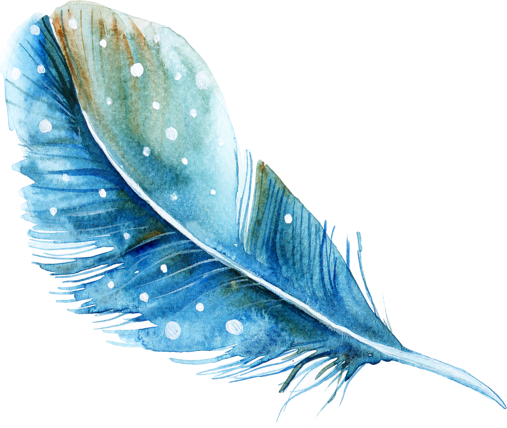 Feather Watercolor painting