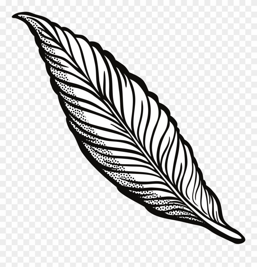 Clipart feather lineart.