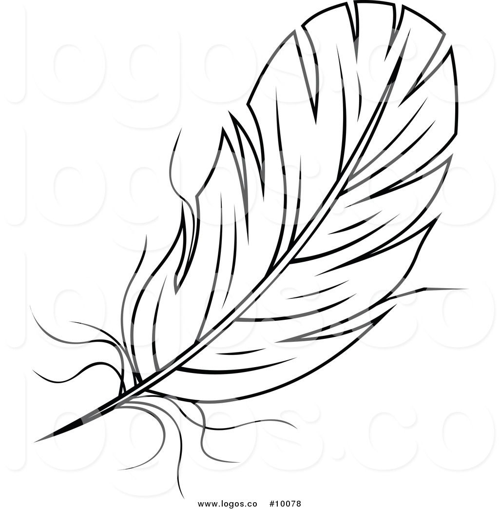 Royalty Free Black and White Feather Stock Logo Designs