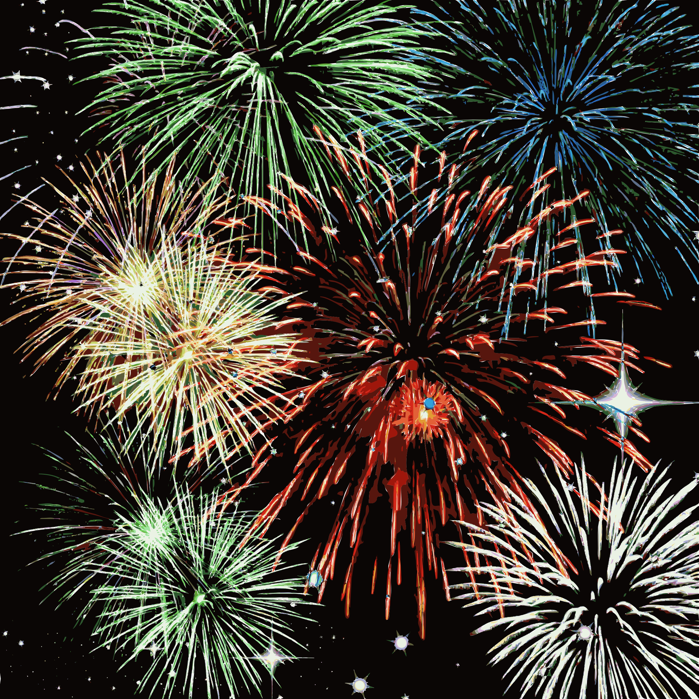 Bright fireworks in the sky vector clipart image
