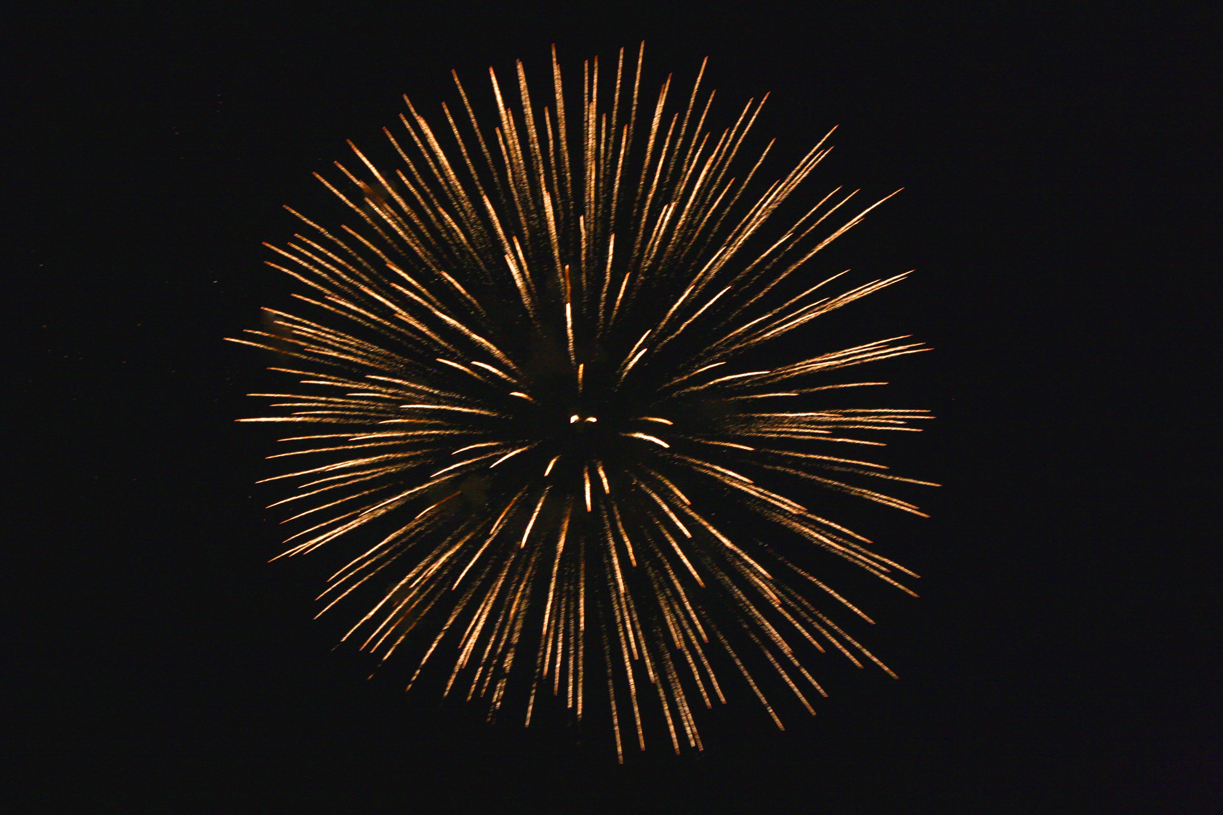 Golden starburst fireworks.