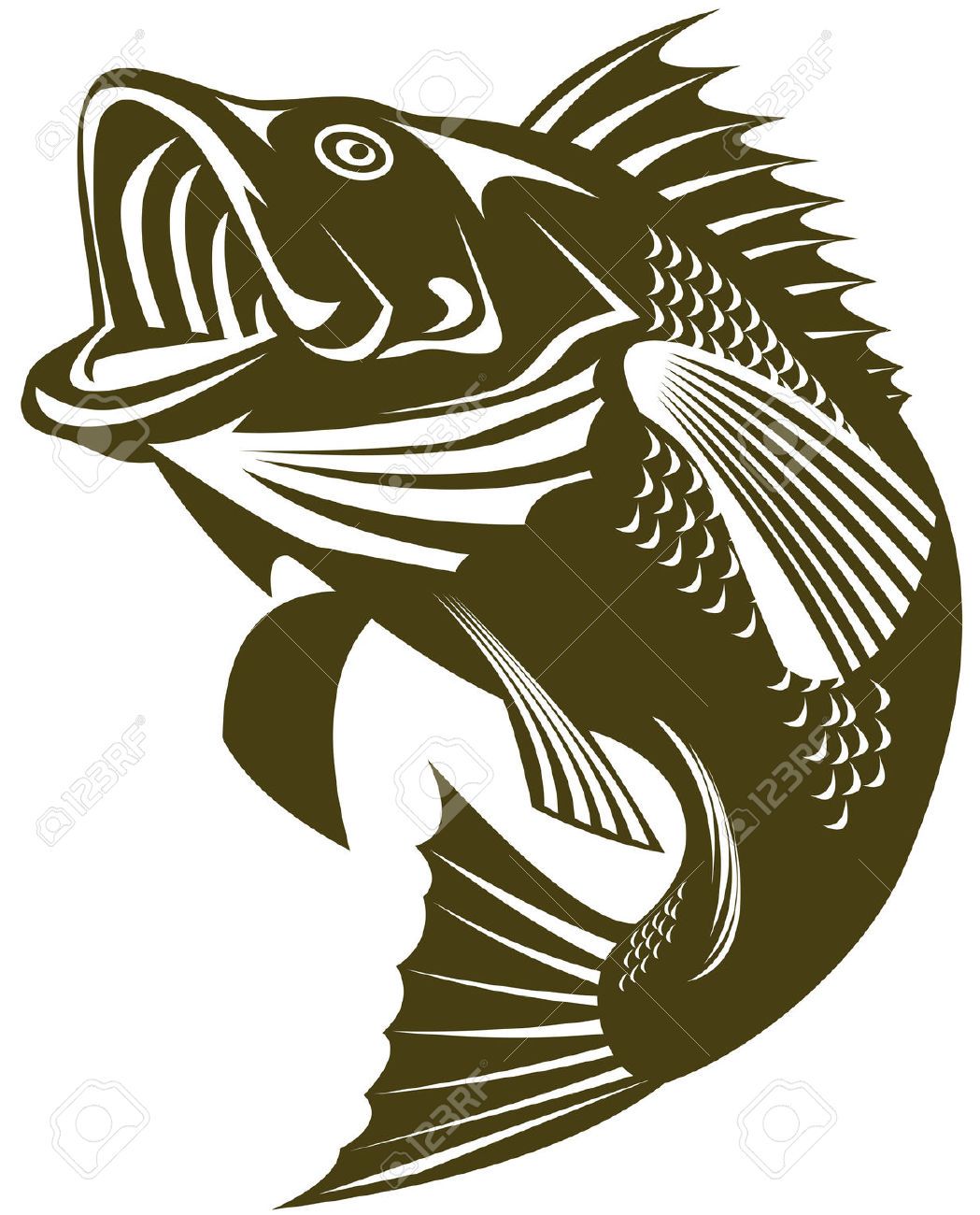 Largemouth Bass Cliparts Stock Vector And Royalty Free