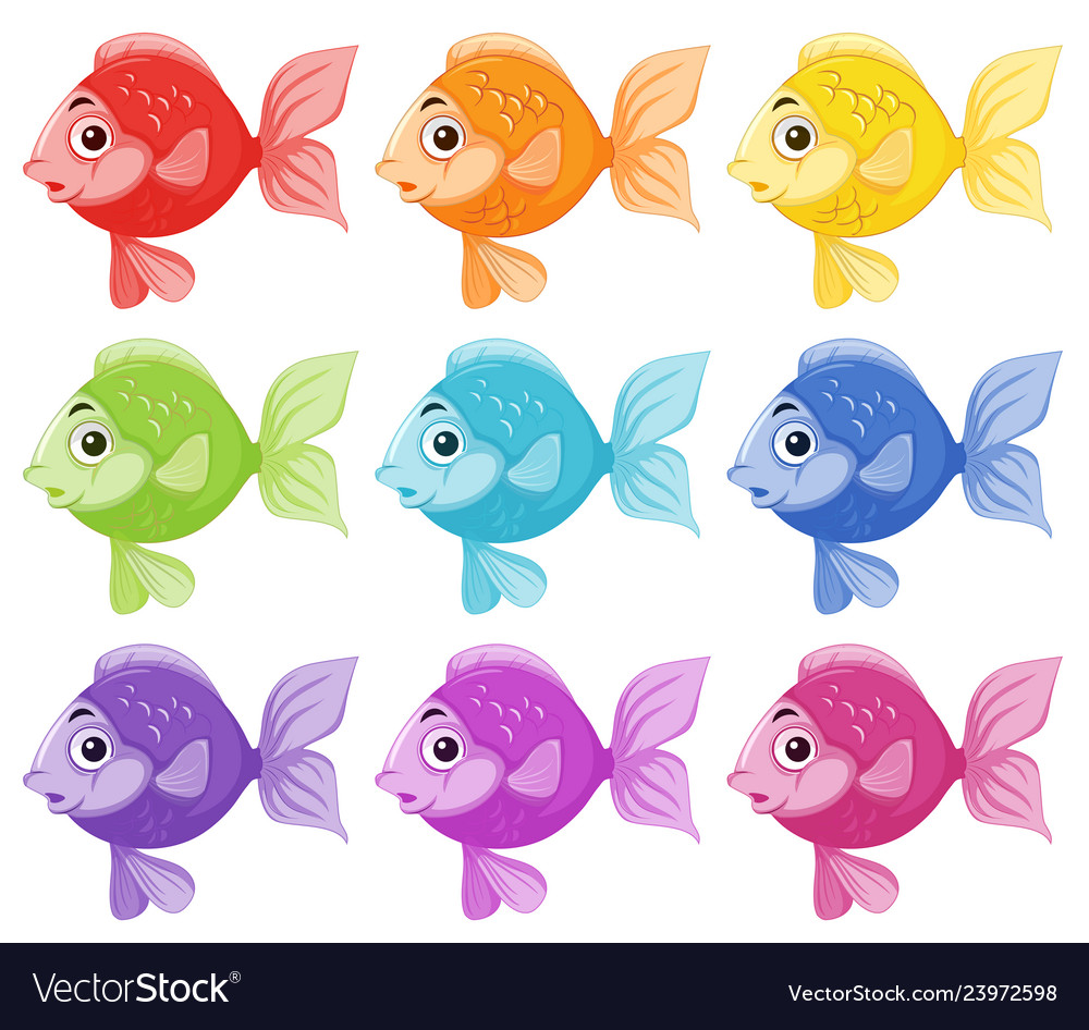 Set of colorful fish
