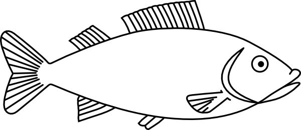 Easy long Fish Drawings