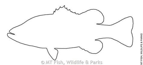 Largemouth Bass Fish Outline