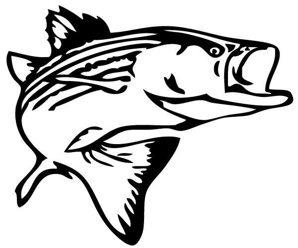 Bass Fish Outline Clip Art Free Clipart Images