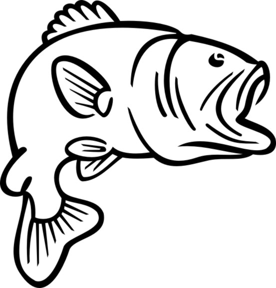 Bass fish outline.