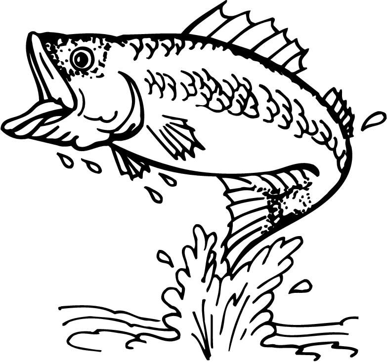 This is best Bass Fish Outline
