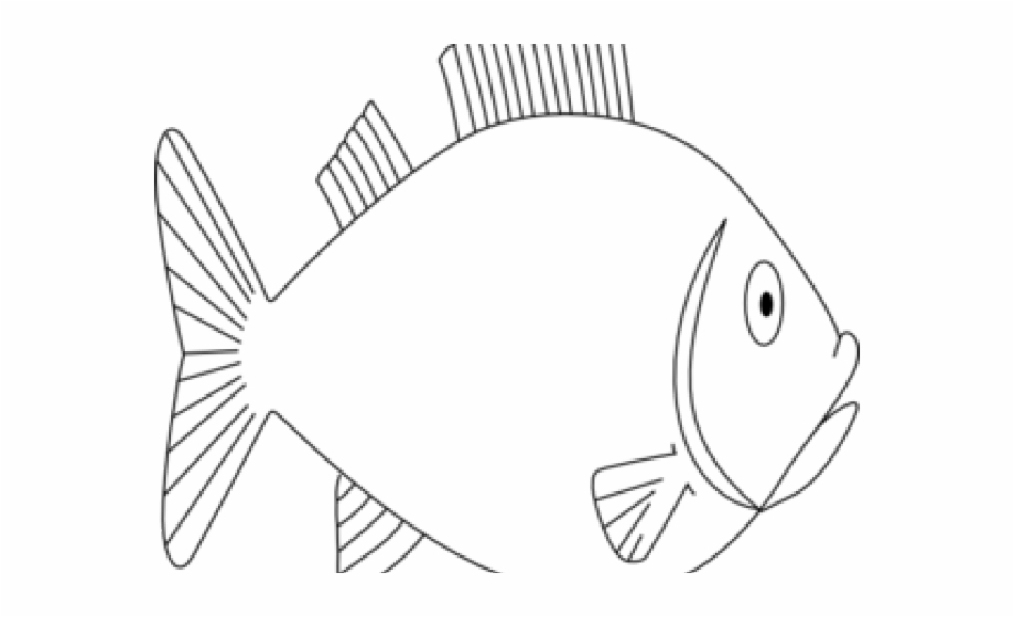 Outline Of Fish Clipart