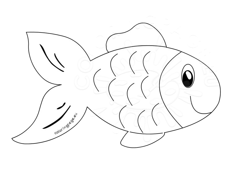 fish clipart outline cute