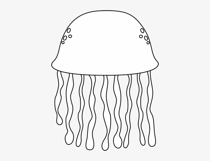 Jellyfish Jelly Fish Outline Clipart Kid