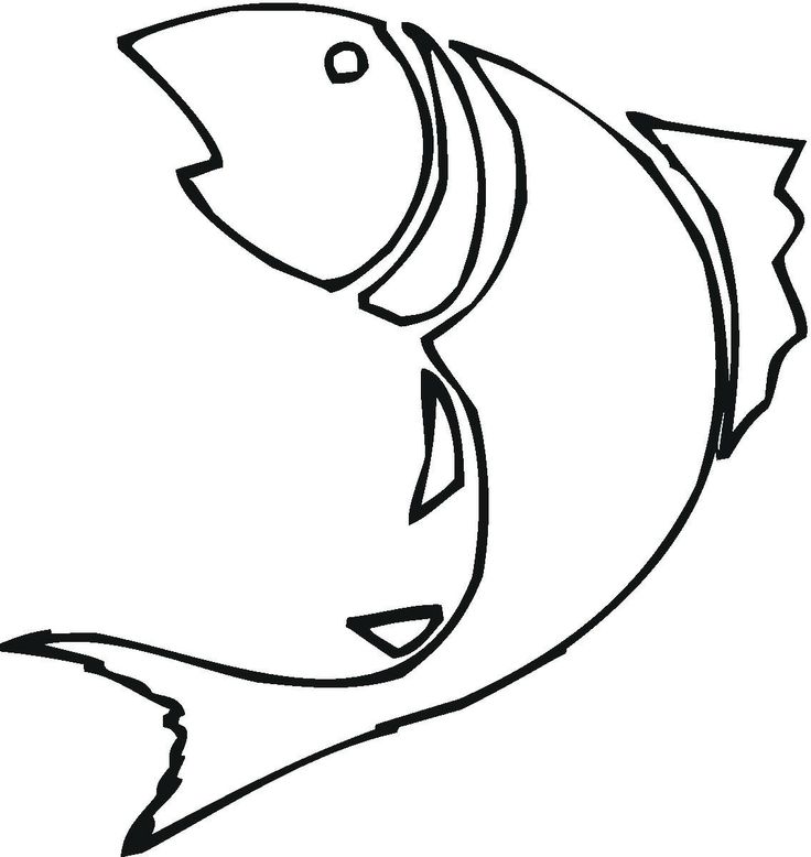 fish clipart outline school