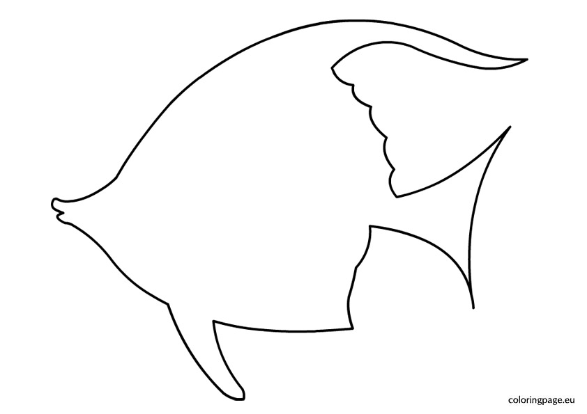 Fish outline images.