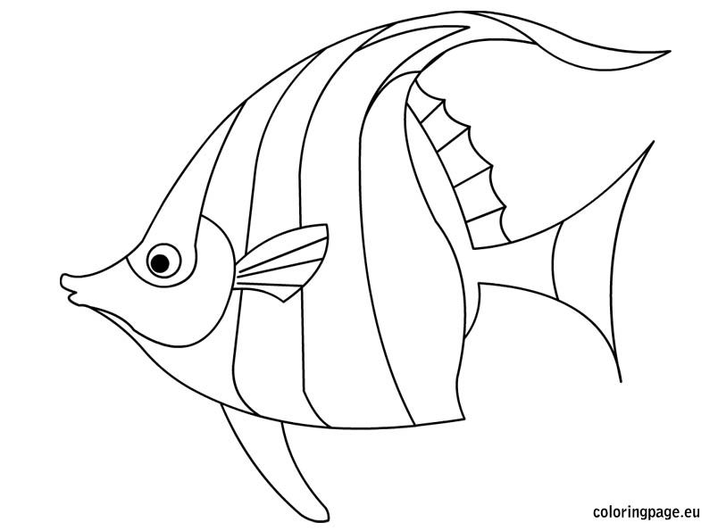Related coloring pagesgoldfishfish.