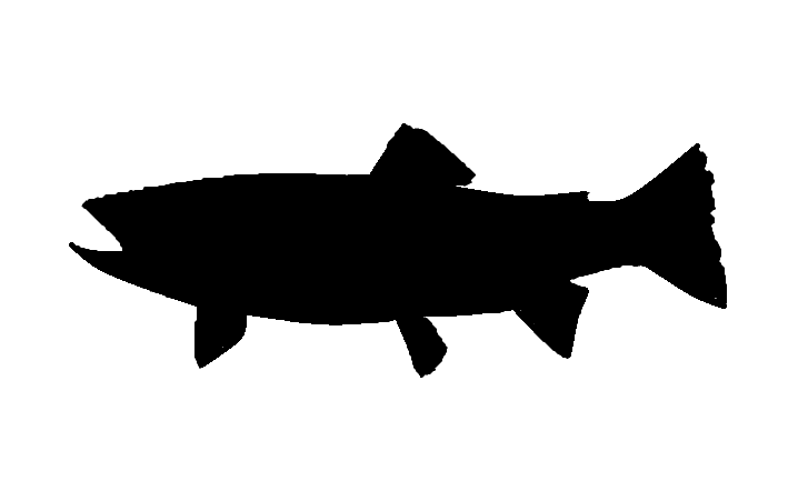 Free trout silhouette.