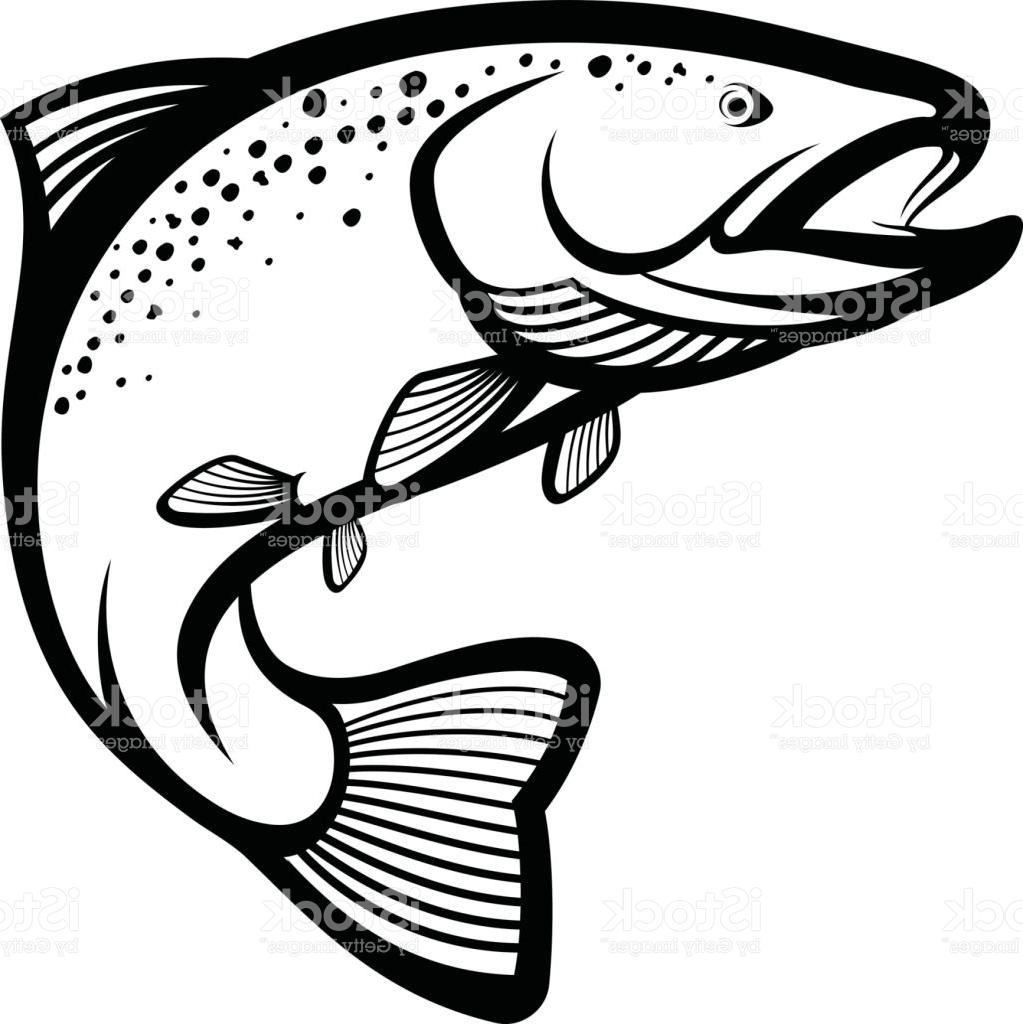 Download Fish clipart outline trout pictures on Cliparts Pub 2020! 🔝