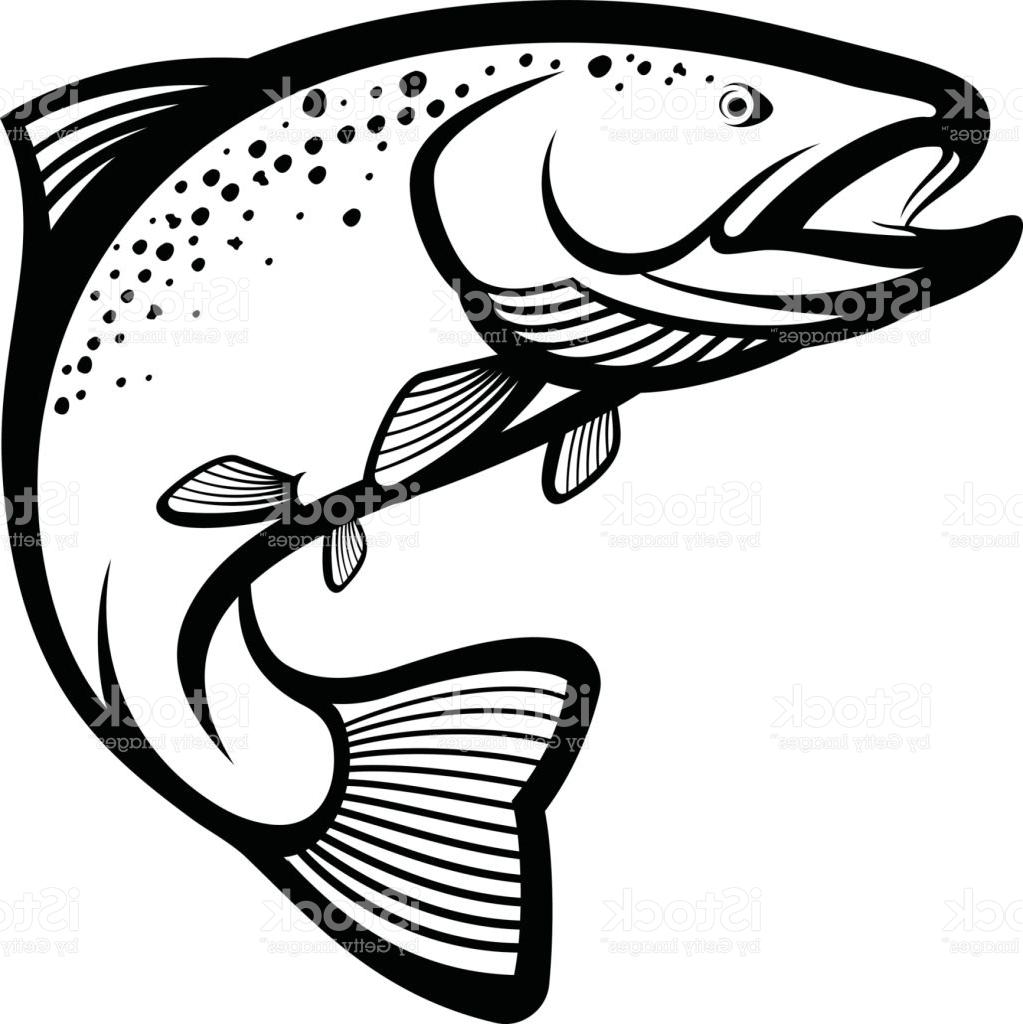 Fish clipart outline trout pictures on Cliparts Pub 2020! 🔝