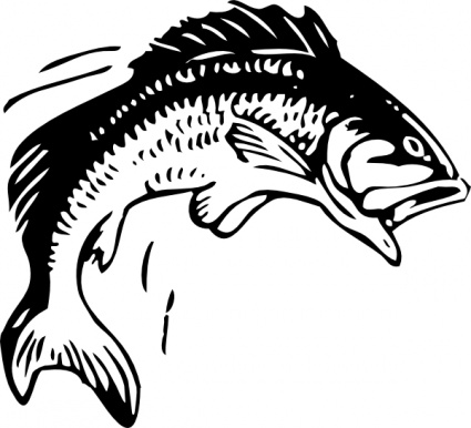 Free Fish Outline, Download Free Clip Art, Free Clip Art on