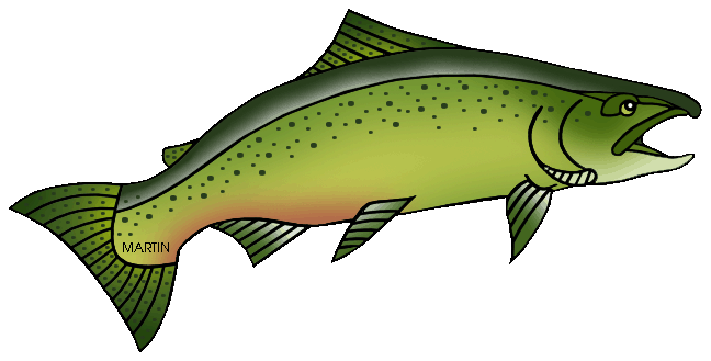 Clipart salmon fish.