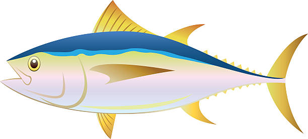 Tuna fish clipart.