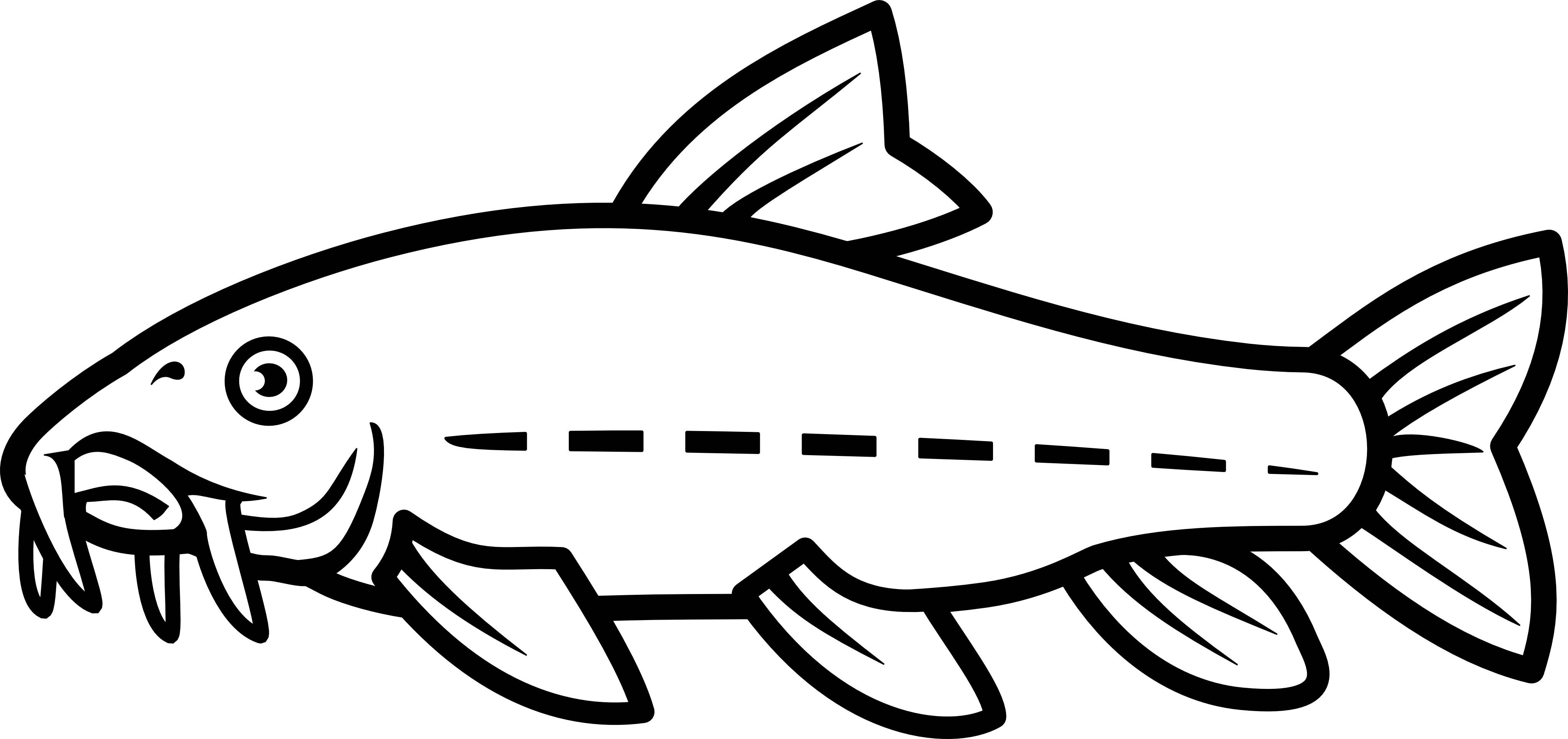 Catfish Clipart