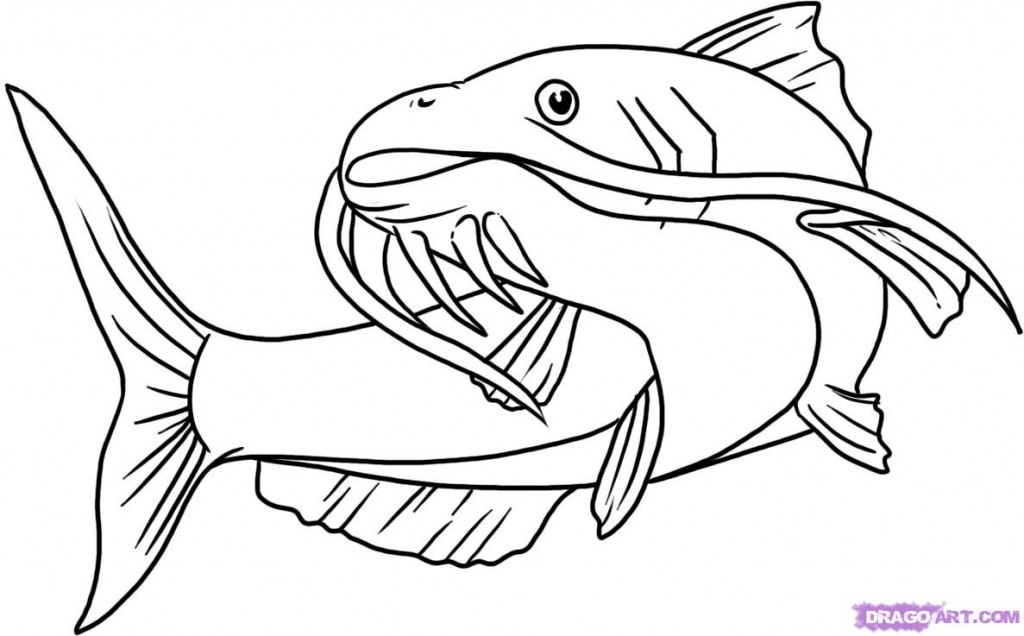 Free Cat Fish Cliparts, Download Free Clip Art, Free Clip