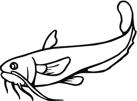 Catfish coloring page.