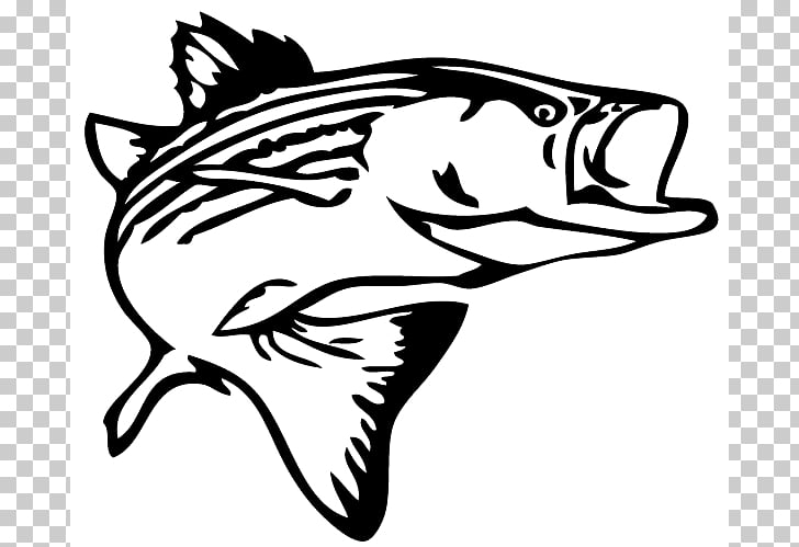 Striped bass fishing Decal , Bass Jumping s, fish pencil