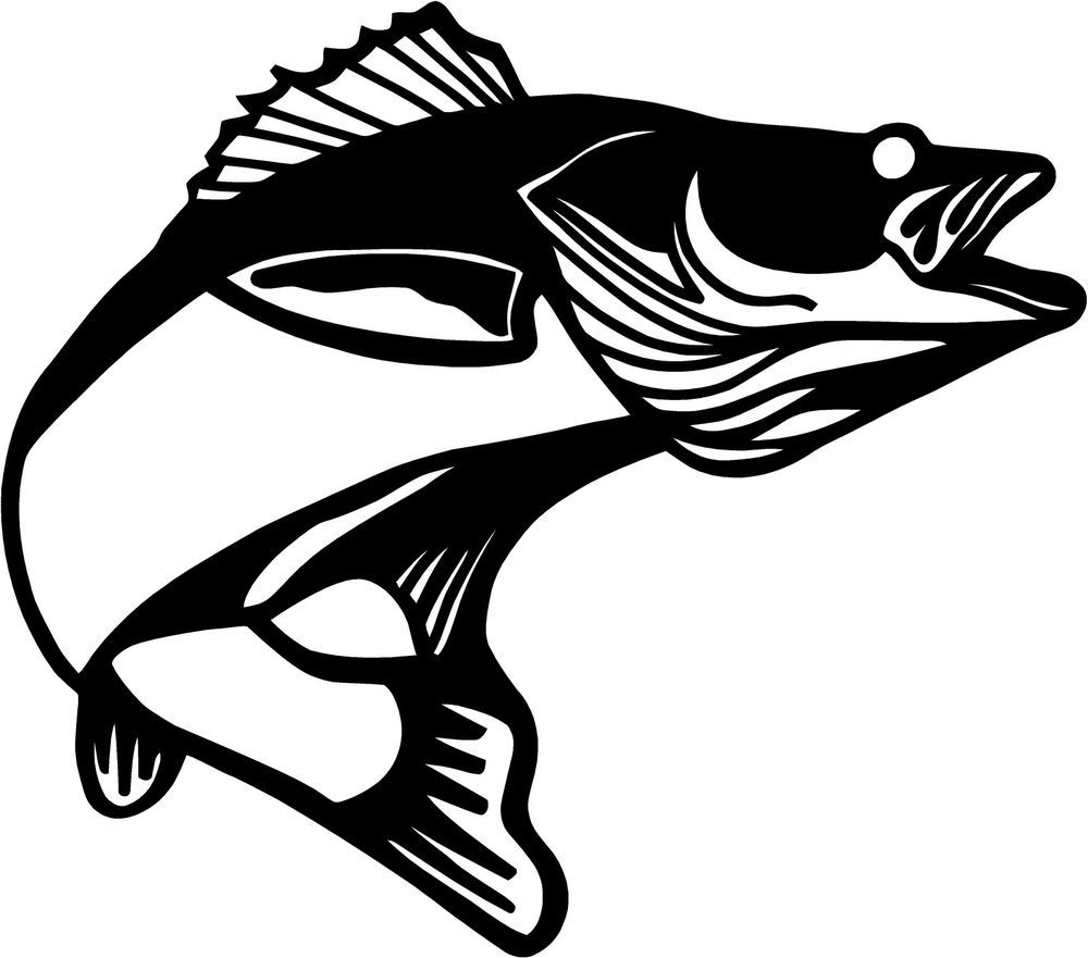 Walleye black and white