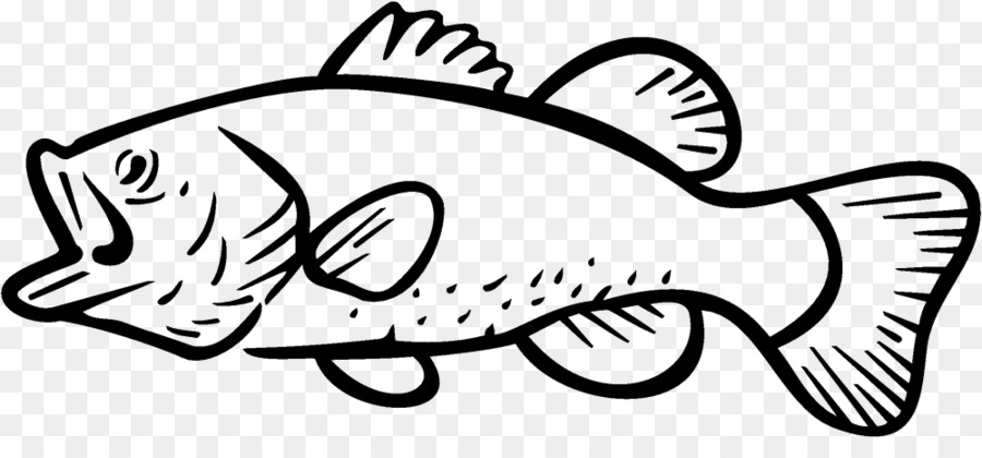 Bass Fishing Largemouth Bass Clip Art