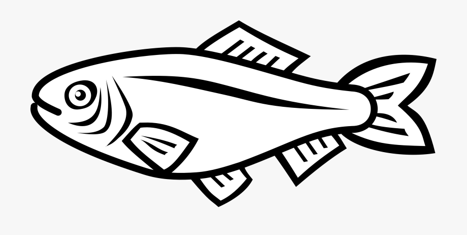 Simple fish vector.