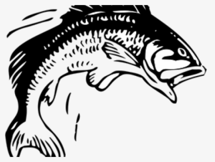 Free Free Fishing Clip Art with No Background