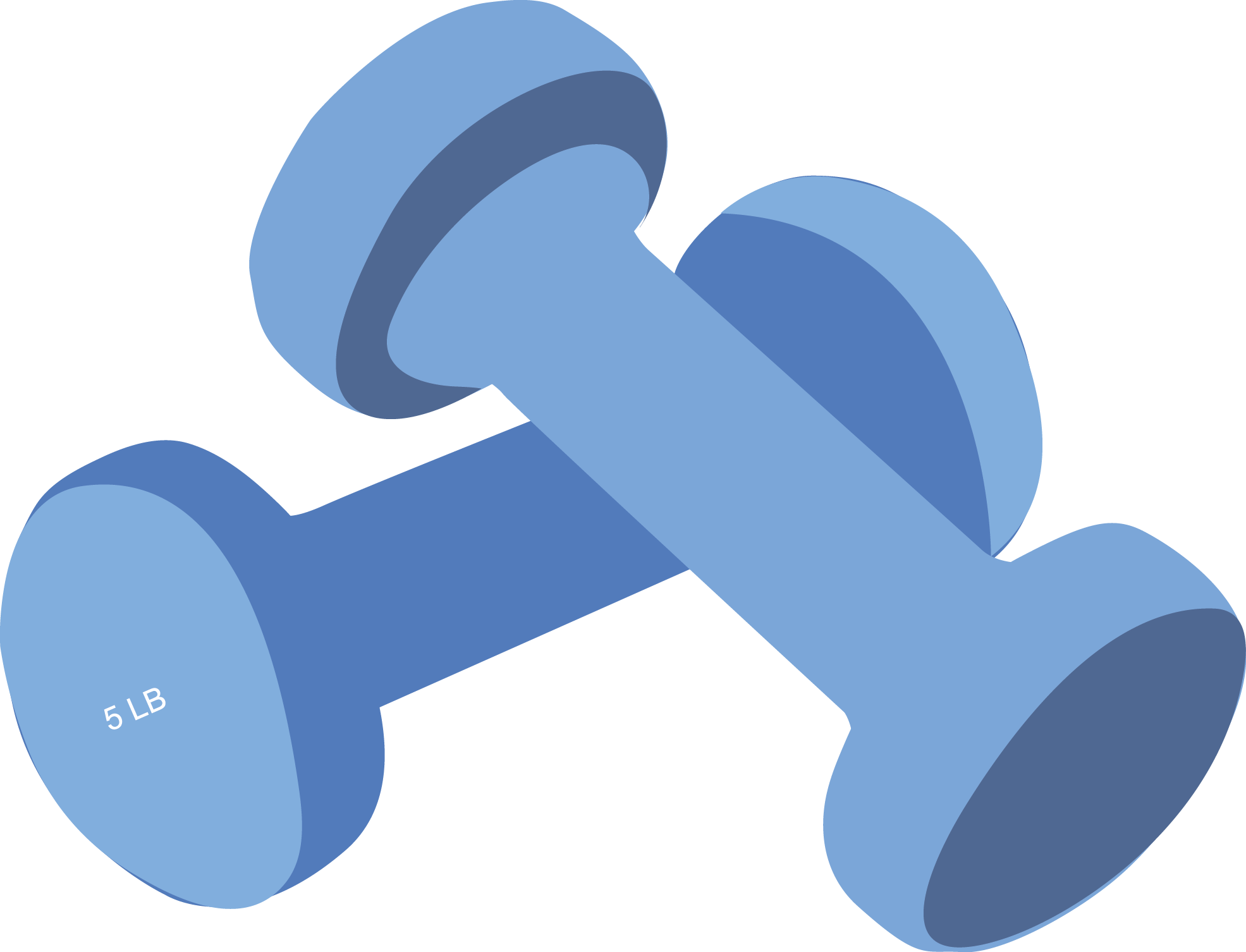 fitness clipart weight