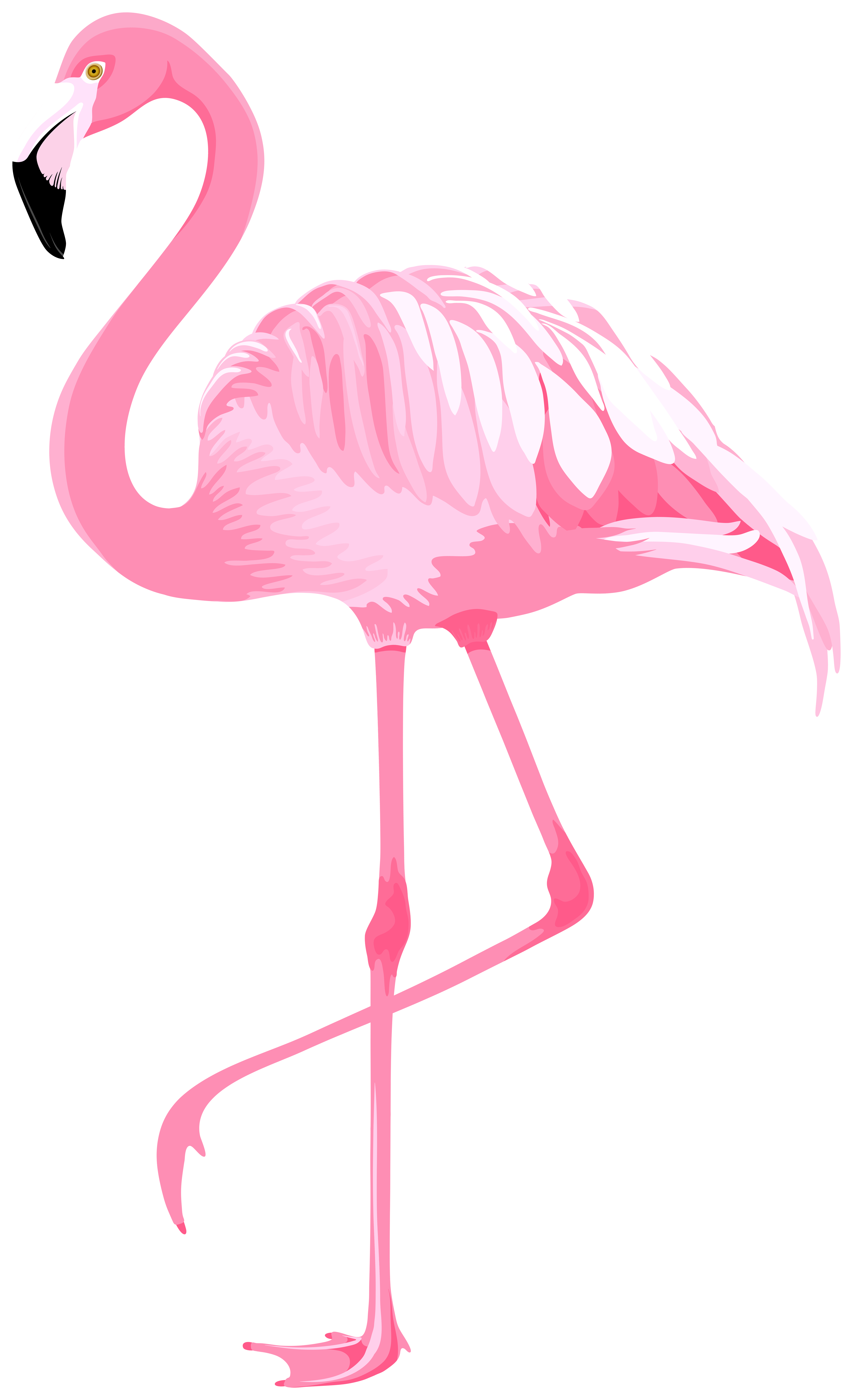 Pink flamingo png.