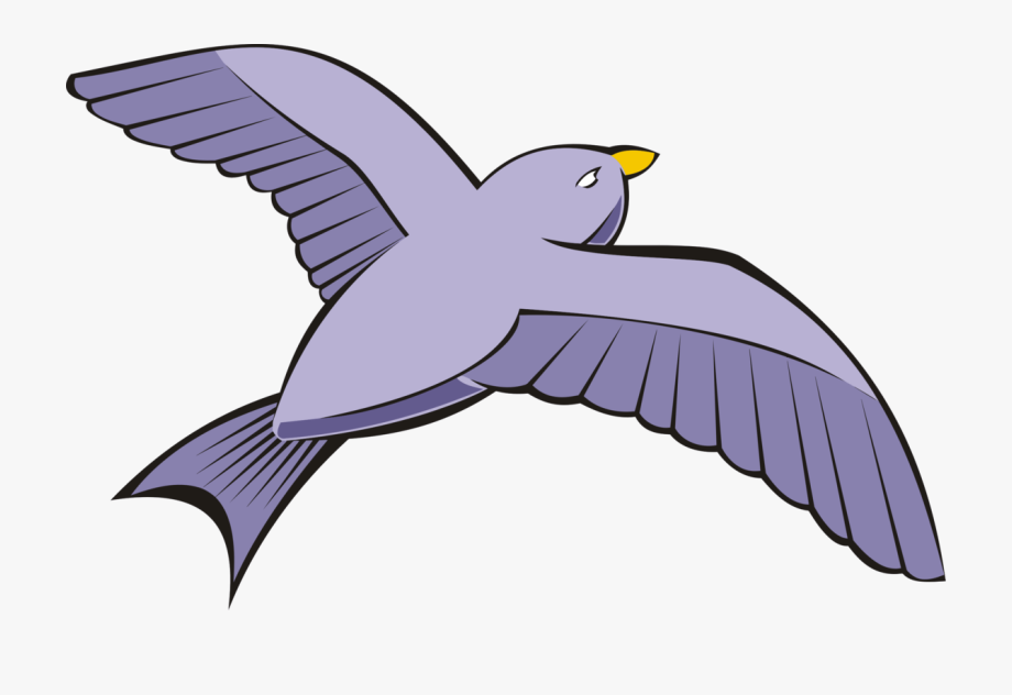 flight clipart bird