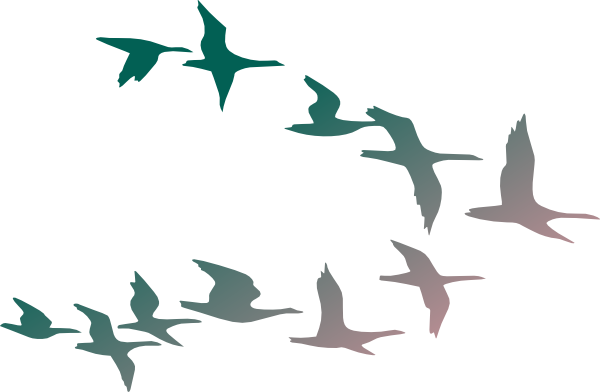 Cartoon Flock of Birds Flying images