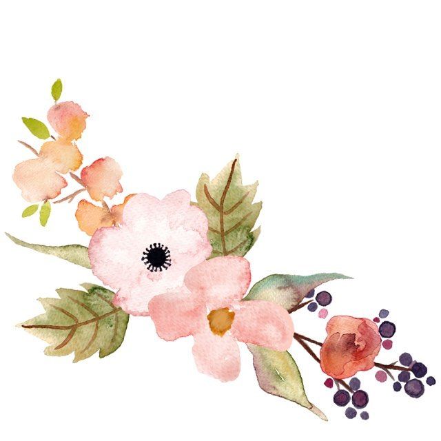 Beautiful hand painted floral clip art